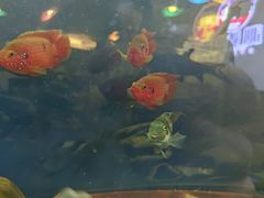 -沁麦源过桥米线(总店)
