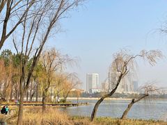 -渤公岛生态公园