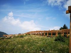 -白草畔自然风景区