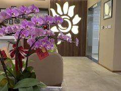 -招商银行(七宝支行)