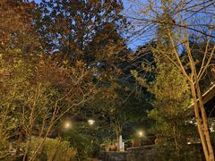 -中铁花水湾温泉酒店(大邑店)