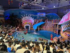 -烟台海昌鲸鲨海洋公园