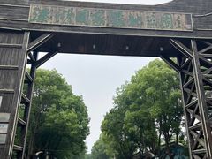 -溱湖国家湿地公园