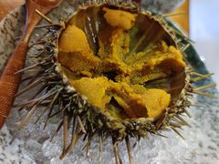 活海胆-千代武日本料理(开发区店)