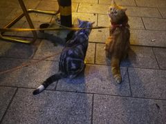 -西关84·History·Art·Cafe