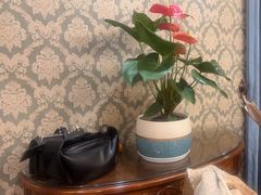 -小八仙·八方(移民广场店)