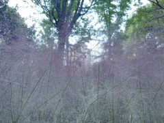 -苏州河梦清园环保主题公园