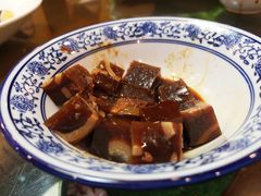 -食家鸽园