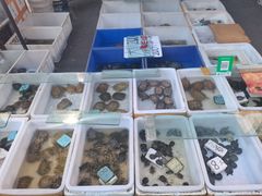 -哈尔滨道外花鸟鱼市场
