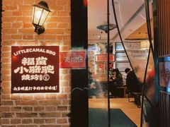 -福苗小骆驼烧烤(莲湖路店)