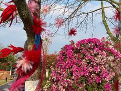 -东莞植物园