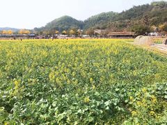 -红山村
