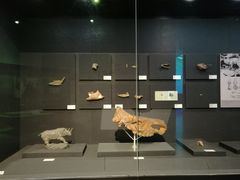 -北京周口店北京人遗址博物馆