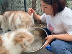 -TrueLove @ Neverland (Husky Cafe)
