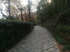 -峙山公园