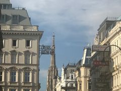 -斯蒂芬主教座堂(Stephansdom)