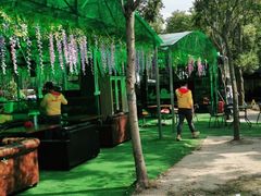 -上海海湾国家森林公园