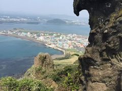 -涉地可支