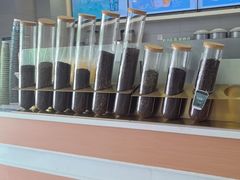 -雾与山茶(大禹城店)