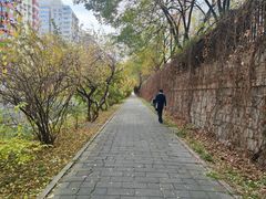 -元大都城垣遗址公园