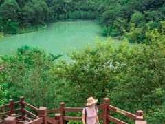 -广州白江湖森林公园