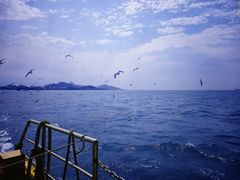 -海驴岛(荣成市)