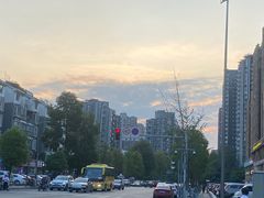 -黑龙滩生态鱼火锅(百寿路店)