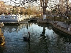android_upload_pic-北京市海淀外国语实验学校