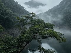 -白云源风景区