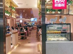 -西贝莜面村(东莞壹号广场店)
