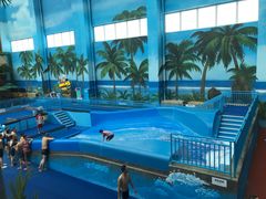 -青岛东方影都融创水世界