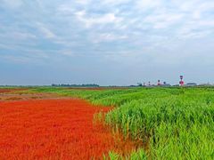 -红海滩国家风景廊道