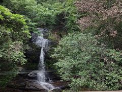 -燕子河大峡谷天坑仙境