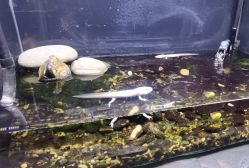 -Zoolung Zoolung动物主题公园(海信广场店)