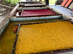 -大象粑粑造纸公园