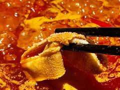 -园里火锅(仁和新城店)