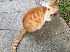 -晓港公园