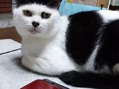 -千纸鹤嫩汁烤肉(学府店)