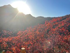 -水峪民俗村