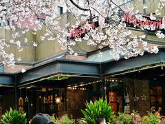 -玛格萝妮比萨屋(四平店)
