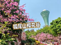 -狐尾山公园