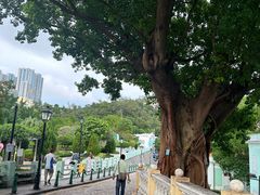 -龙环葡韵住宅式博物馆