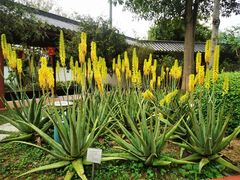 -广州神农草堂中医药博物馆