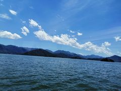 -浔味·山屿湖·正宗淳牌全鱼宴老字号