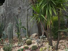 -南宁南湖公园