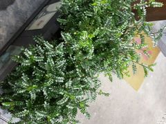 android_upload_pic-深圳大旅小舍精品艺术民宿