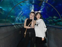 -大连圣亚海洋世界