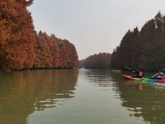 -上海海湾国家森林公园