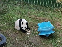-沈阳森林动物园