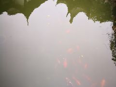 -扬州瘦西湖汇金酒店